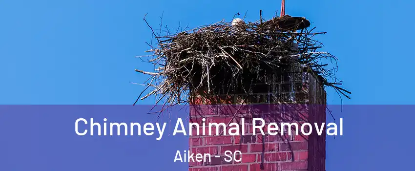  Chimney Animal Removal Aiken - SC