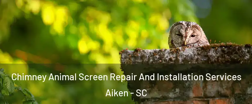  Chimney Animal Screen Repair And Installation Services Aiken - SC