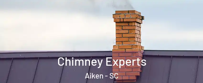  Chimney Experts Aiken - SC