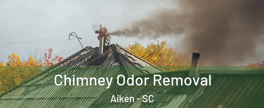  Chimney Odor Removal Aiken - SC