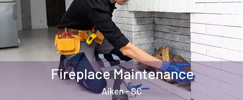  Fireplace Maintenance Aiken - SC