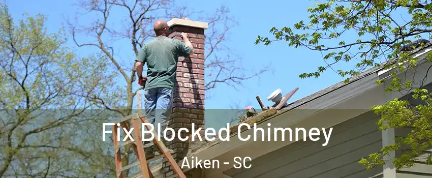  Fix Blocked Chimney Aiken - SC