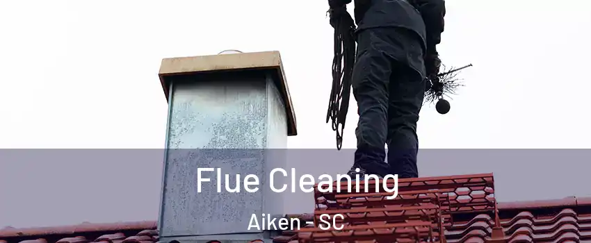 Flue Cleaning Aiken - SC