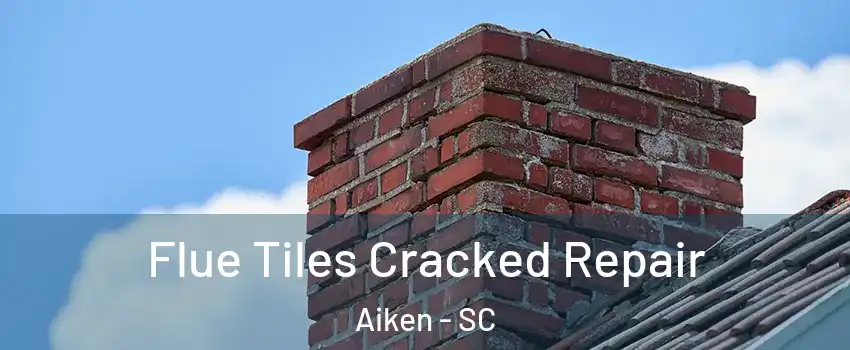  Flue Tiles Cracked Repair Aiken - SC