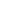 Professional Chimney Flue Installation in Aiken, South Carolina