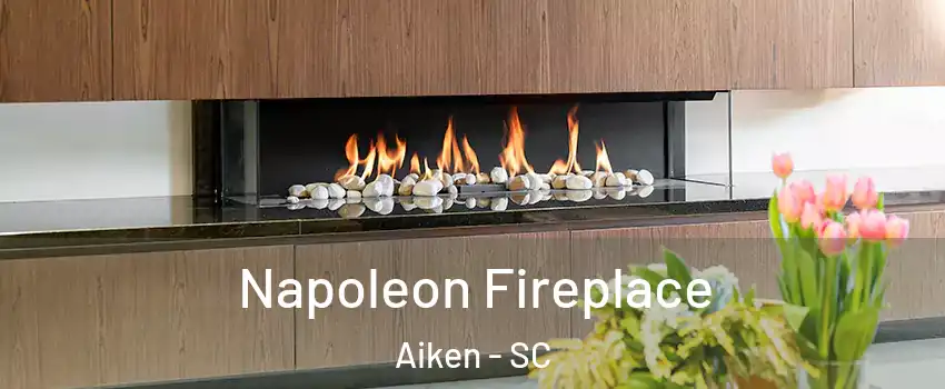  Napoleon Fireplace Aiken - SC